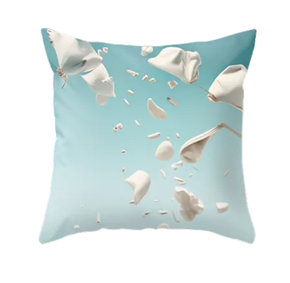 Pillow 1